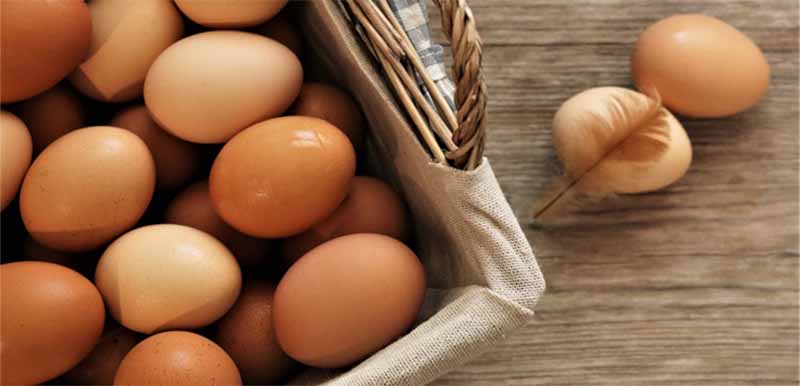 Trứng gà số mấy? Mơ thấy trứng gà báo hiệu điều gì?