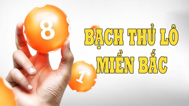 Cầu bạch thủ miền Bắc có gì đặc biệt? Cầu bạch thủ miền Bắc có gì đặc biệt?