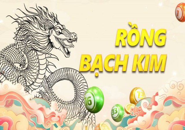 Vì sao nên chơi dàn đề 20 số Rồng Bạch Kim