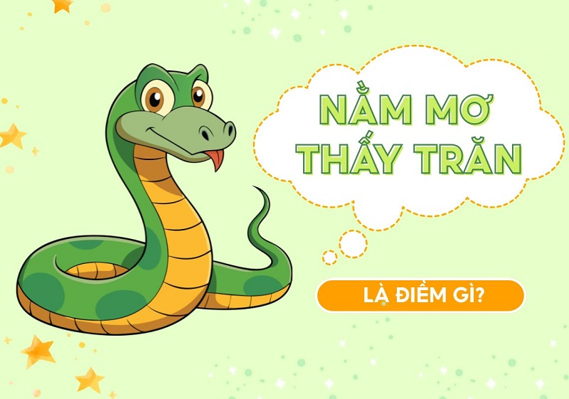 Mơ thấy con trăn là điềm báo lành hay dữ sắp đến?