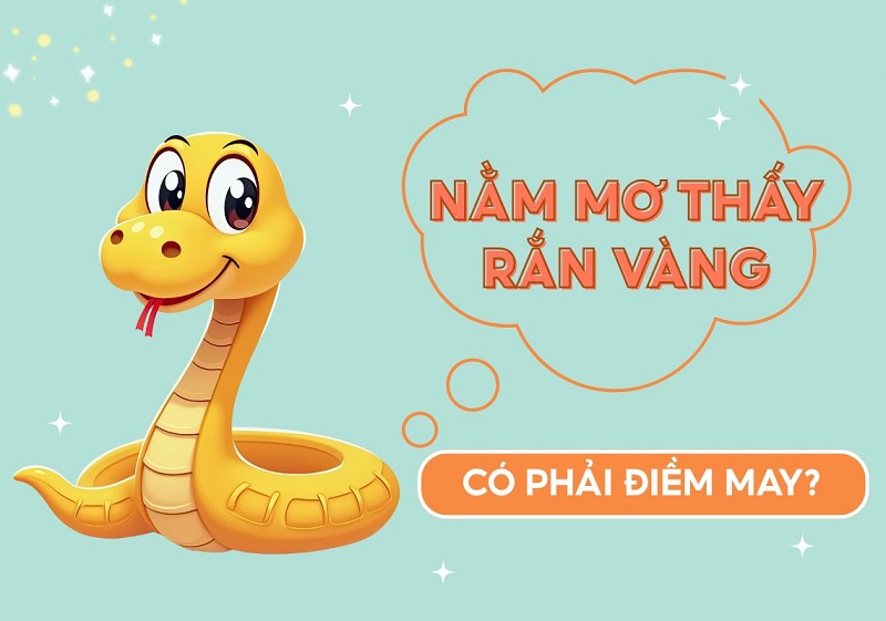 Giải mã chiêm bao nằm mơ thấy rắn vàng vào nhà Giải mã chiêm bao nằm mơ thấy rắn vàng vào nhà